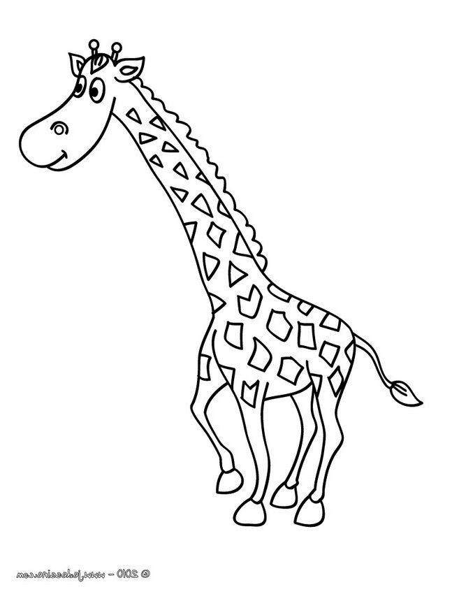 10 Typique Girafe Coloriage Stock En 2020 | Coloriage intérieur Image Girafe Dessin