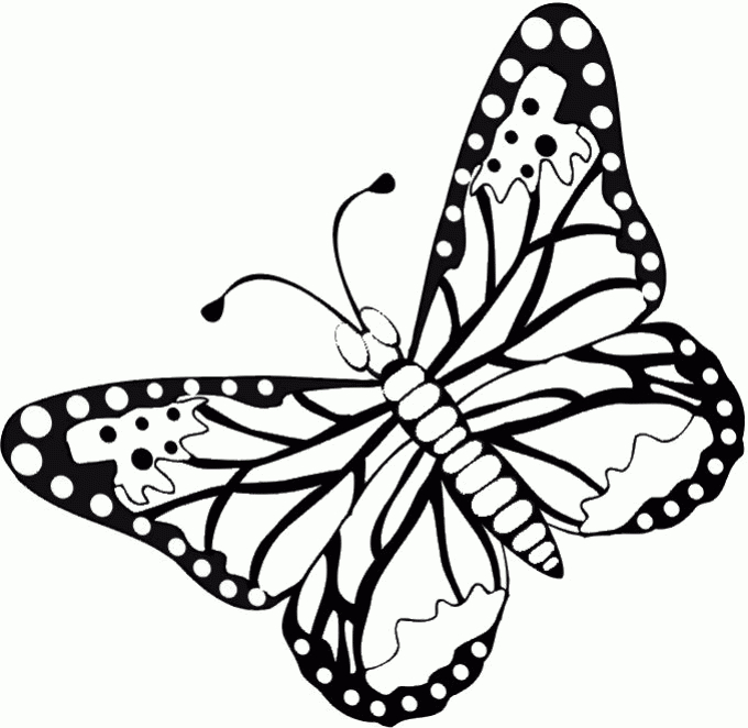 110 Dessins De Coloriage Papillon À Imprimer Sur Laguerche tout Dessin A Imprimer Papillon Gratuit