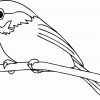 119 Dessins De Coloriage Oiseau À Imprimer Sur Laguerche concernant Dessin D Oiseau Simple