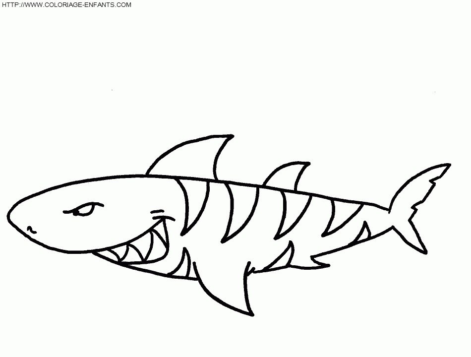 20 Dessins De Coloriage Requin Blanc À Imprimer à Coloriage A Imprimer Requin