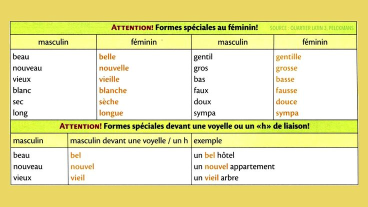 324 Best Fle : Les Adjectifs Images On Pinterest pour Le Masculin Et Le Féminin Des Adjectifs