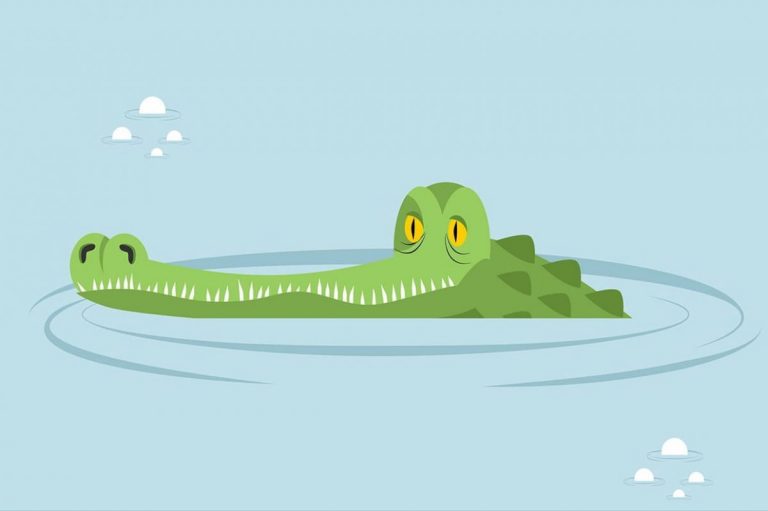 Ah Les Crocodiles + 1H De Comptines Avec Paroles Intérieur avec Ah Les