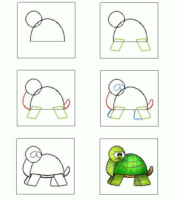 Apprendre À Dessiner Les Animaux | Turtle Drawing à Apprendre Les Animaux Pour Bebe
