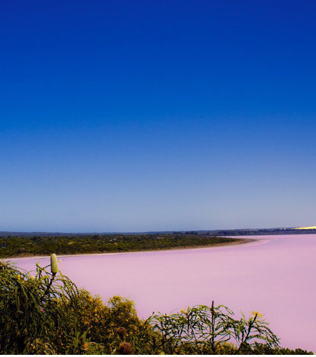 Australie : La Couleur Rose De L'Eau Du Lac Hillier pour Couleur De L Australie