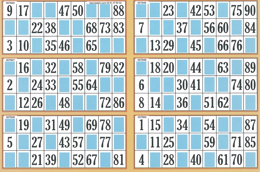 Avis Jeux De Loto Quine Test Et Comparatif【 Choisir Le intérieur Grille Bingo À Imprimer