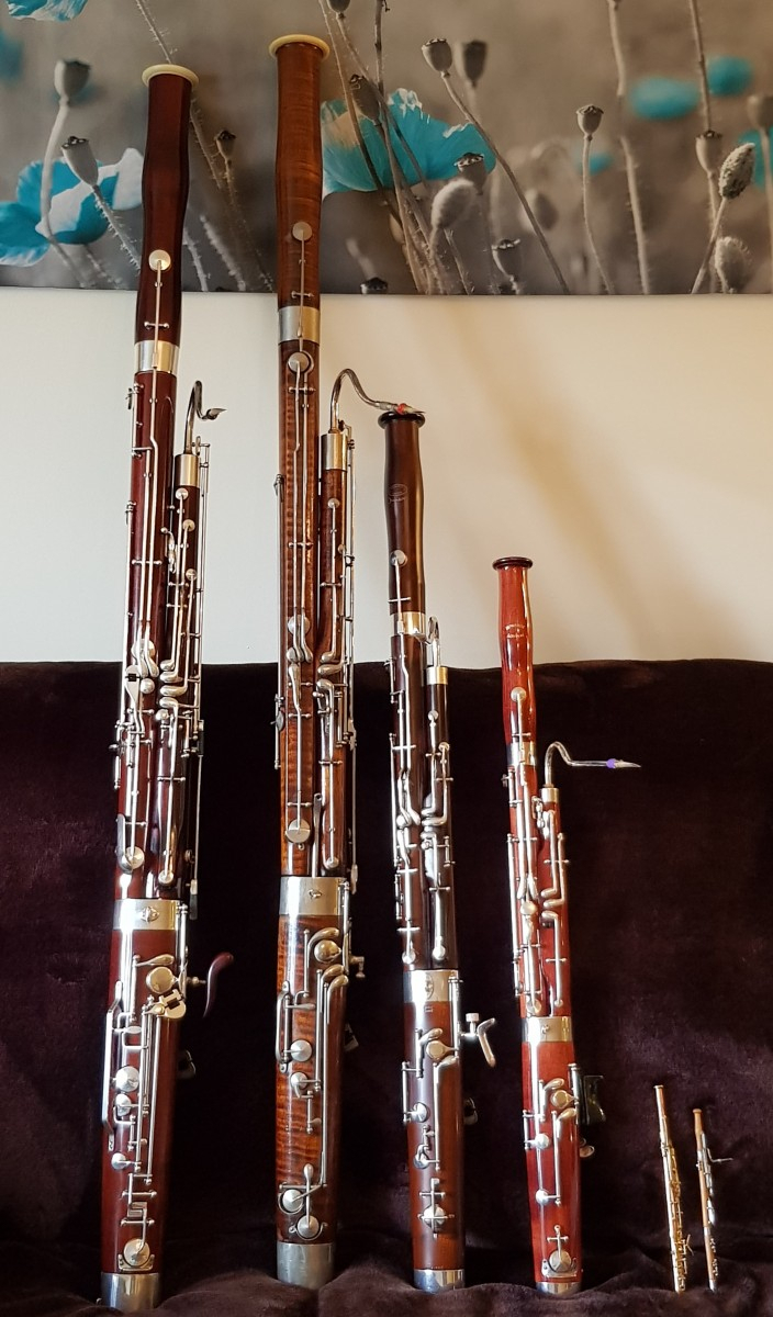 Bassoon Family_For Web | British Double Reed Society tout Basson Image