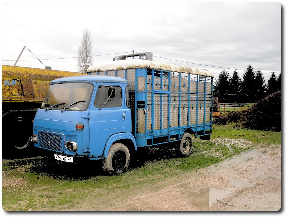 Bétaillère Bleue - Glm C-Tp-T- (Camions-Tp-Train) dedans Camion Carrossé