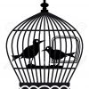 Bird Cage Drawing Ideas | Birdcage Design Ideas avec Dessin De Cage D Oiseau