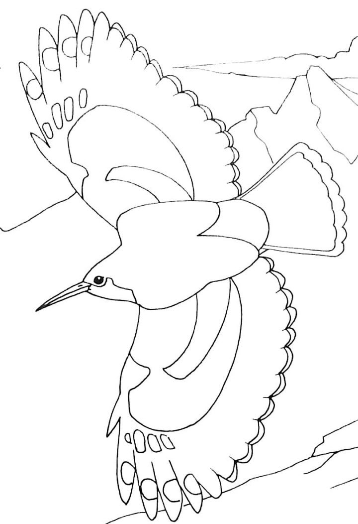 Bird Flying – Animal Coloring Pages For Kids To Print & Color à Dessin