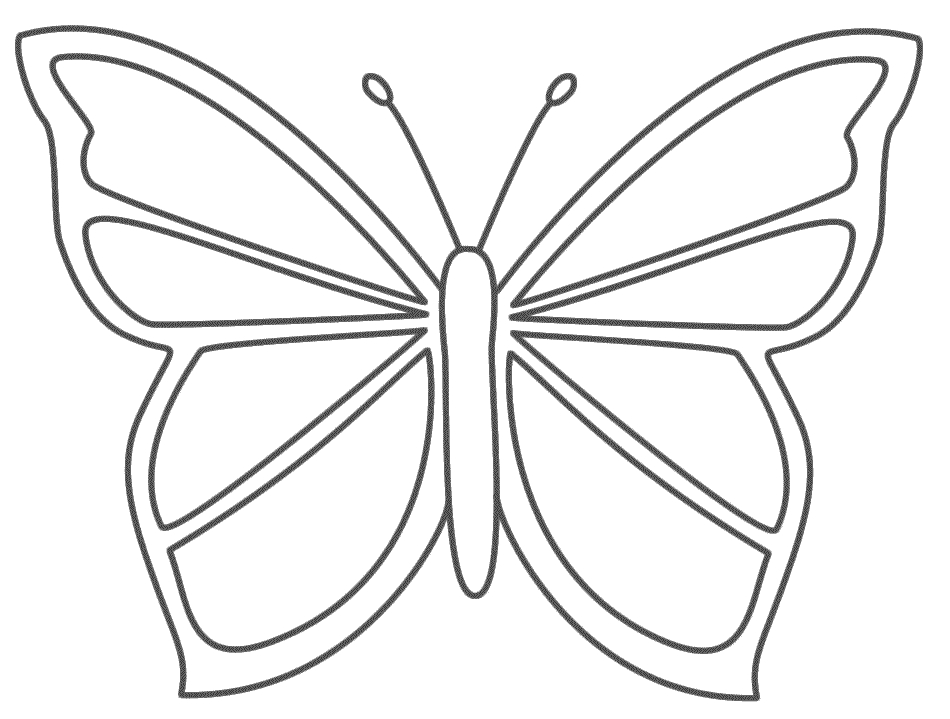 Butterfly - Coloring Page (Insects) | Coloriage Papillon avec Gabarit Papillon À Imprimer