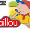 Caillou En Français - Version Française 65 Mins+ | Conte pour Monsieur Caillou