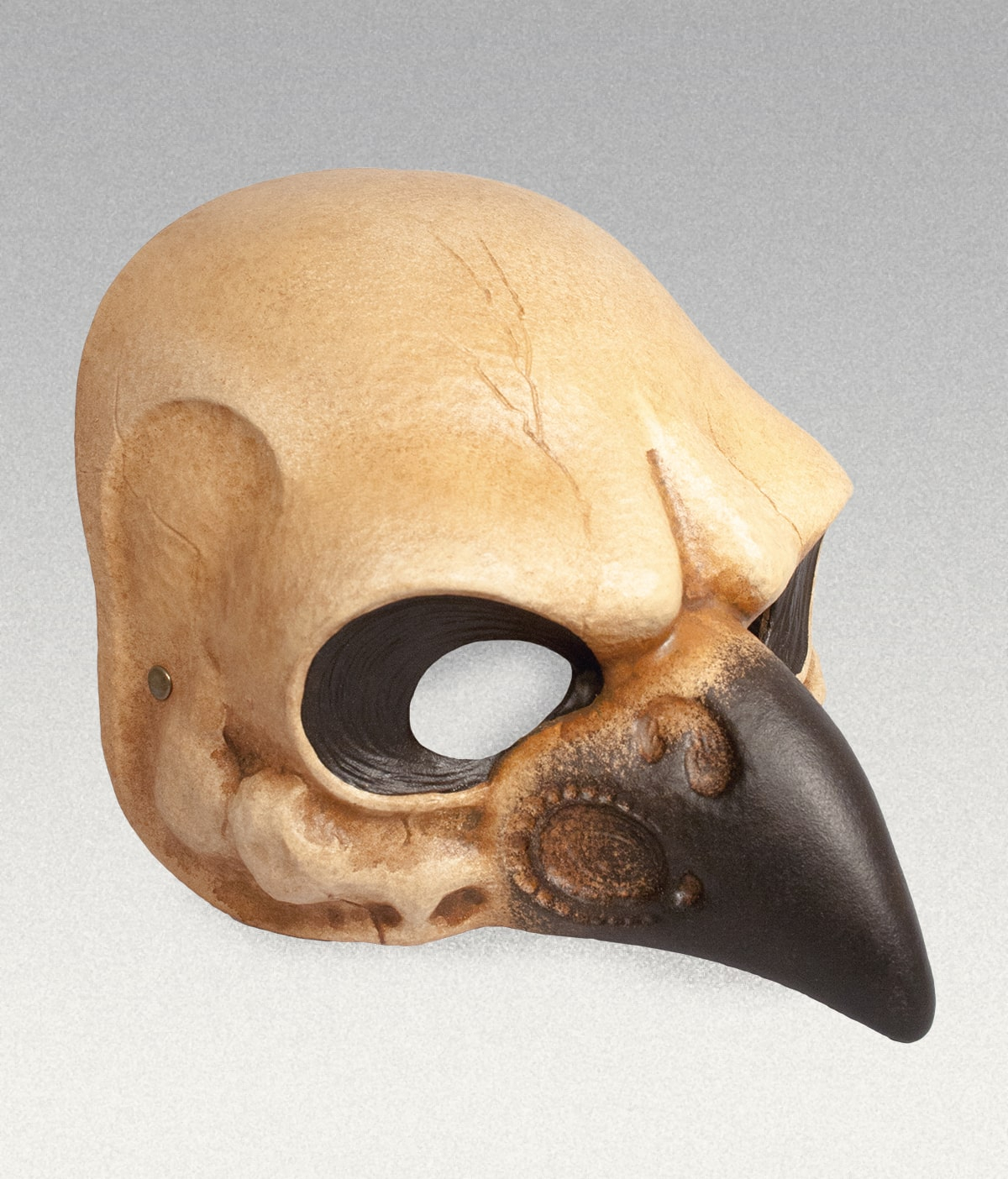 Carnival Mask - Bird Skull - Atelier Pirate dedans Atelier Pirate