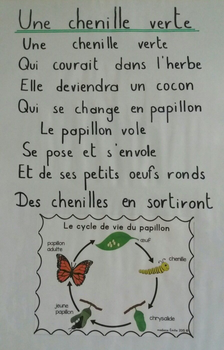 Chanson Sur Le Papillon (Pour Le Printemps) tout Chanson Le Printemps