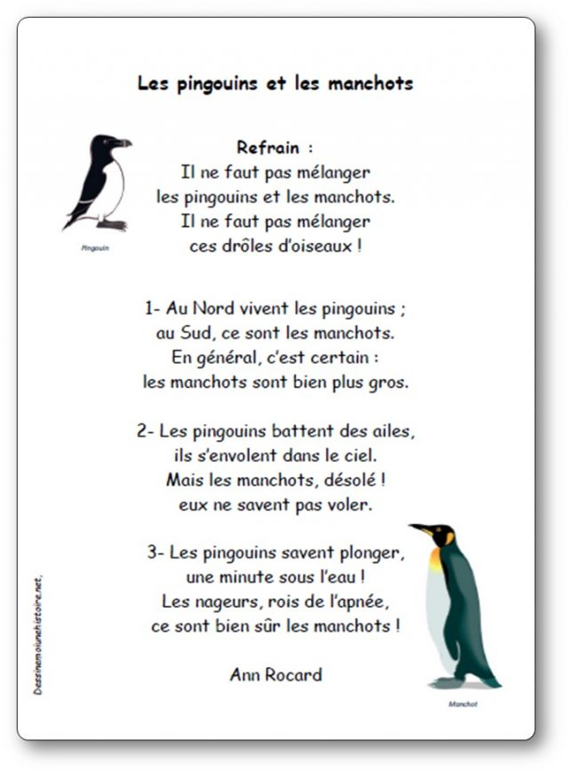 Chansons, Comptines Et Poésies Sur Le Thème De La Banquise à Comptine Pingouin