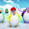 Cinq Petits Pingouins | Comptines | Enfants Chansons concernant Comptine Pingouin