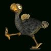 Collection Of Png Dodo. | Pluspng concernant Dodo L Enfant Dodo