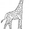 Coloriage À Imprimer Girafe-0 pour Image Girafe Dessin