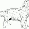 Coloriage Chien Couché Plat Ventre Concernant Coloriage serapportantà Coloriage Labrador