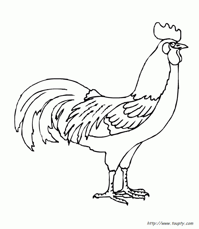 Coloriage Coq À Imprimer Pour Les Enfants - Cp08564 serapportantà Dessiner Un Coq