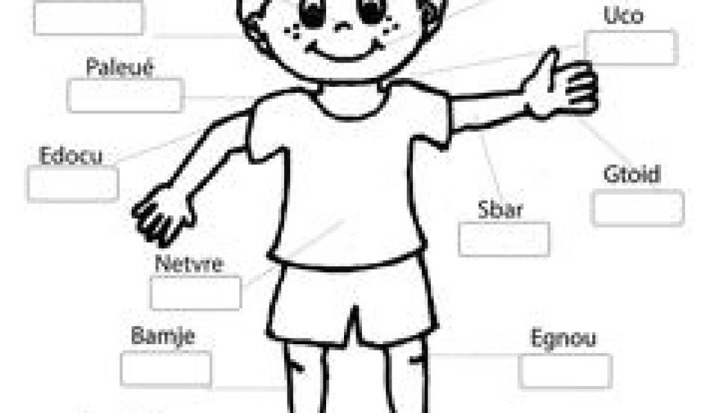 Coloriage Corps Humain Maternelle Cathy M Ari Cathymonari dedans Coloriage Corps Humain Maternelle