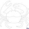 Coloriage Crabe De Mer Gratuit À Imprimer intérieur Coloriage Étoile De Mer À Imprimer
