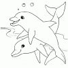 Coloriage Dauphins Sur Hugolescargot serapportantà Coloriage Requin À Imprimer