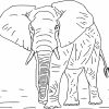 Coloriage Elephant Difficile À Imprimer Sur Coloriages concernant Dessin Elephant Rigolo