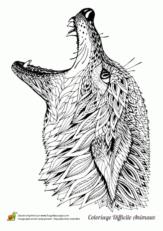 Coloriage Et Illustration D&amp;#039;Une Tête De Loup | Coloriage tout Tete De Loup Dessin