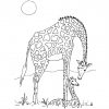 Coloriage Girafe D'Afrique Dessin Gratuit À Imprimer encequiconcerne Coloriage Afrique À Imprimer