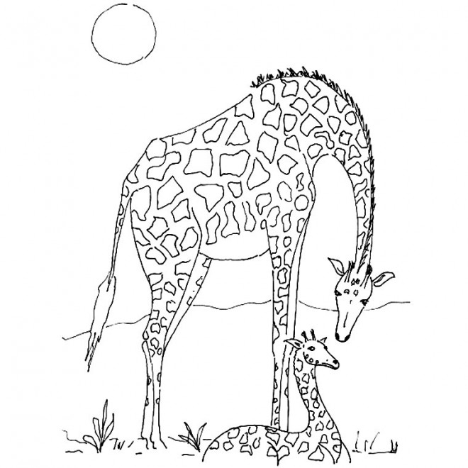 Coloriage Girafe D&amp;#039;Afrique Dessin Gratuit À Imprimer encequiconcerne Coloriage Afrique À Imprimer