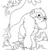 Coloriage Gorille #7534 (Animaux) - Album De Coloriages à Coloriage Gorille