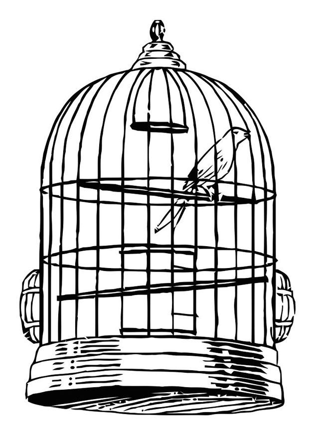 Coloriage Oiseau En Cage - Coloriages Gratuits À Imprimer à Dessin De Cage D Oiseau