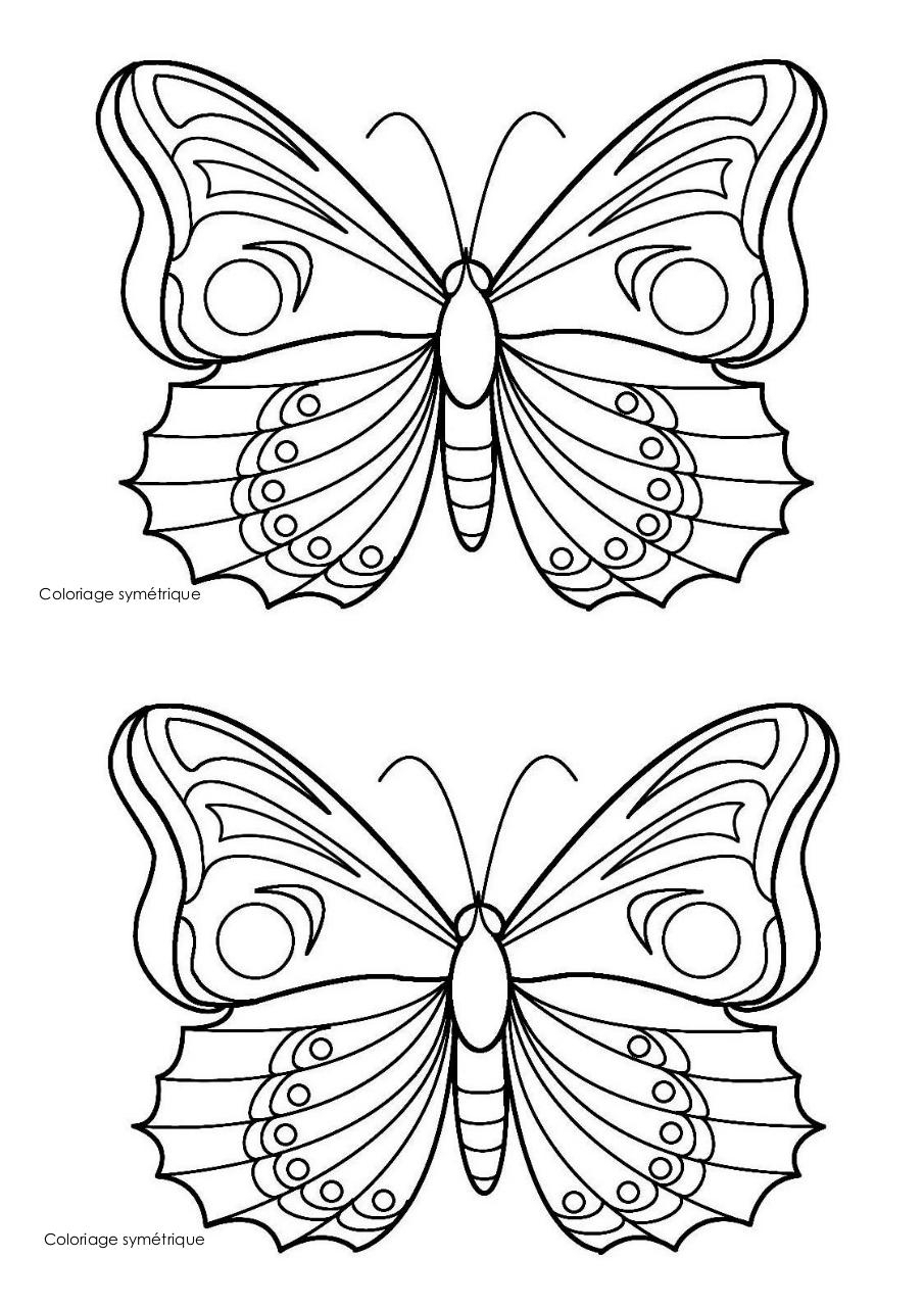Coloriage Papillon Par Pasca - Fichier Pdf concernant Dessin A Imprimer Papillon Gratuit