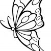 Coloriage Papillon Vecteur Dessin Gratuit À Imprimer encequiconcerne Dessin A Imprimer Papillon Gratuit