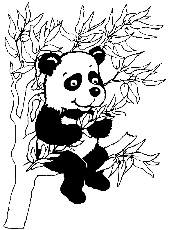 Coloriage Petit Panda Sur L&amp;#039;Arbre Dessin Gratuit À Imprimer dedans Panda À Colorier