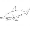 Coloriage Requin 10 - Coloriage Requins - Coloriages Animaux serapportantà Dessin De Requin Tribal