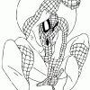 Coloriage Spiderman À Imprimer Pour Les Enfants - Cp24537 intérieur Coloriage Gratuit Spiderman À Imprimer