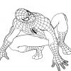 Coloriage Spiderman À Imprimer Pour Les Enfants - Cp24643 avec Tete Spiderman A Imprimer