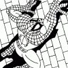 Coloriage Spiderman Contre Venom pour Coloriage Gratuit Spiderman À Imprimer