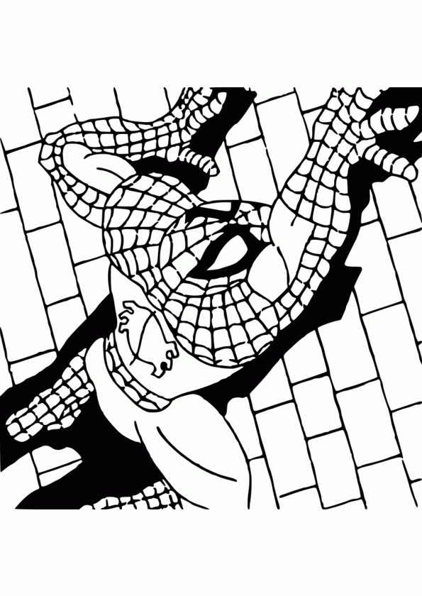 Coloriage Spiderman Contre Venom pour Coloriage Gratuit Spiderman À Imprimer