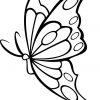 Coloriage Superbe Papillon Vecteur Dessin Gratuit À Imprimer serapportantà Papillon À Dessiner