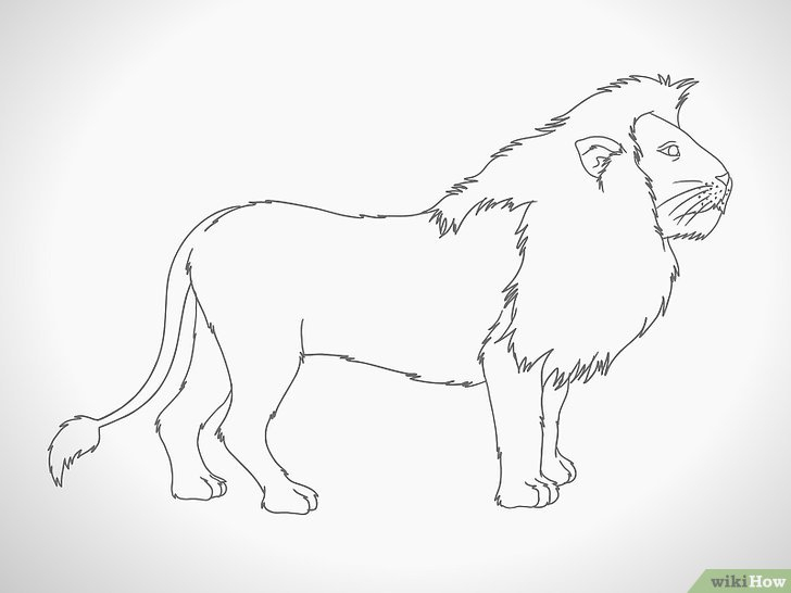 Comment Dessiner Un Lion (Avec Images) - Wikihow destiné Lion Facile A Dessiner
