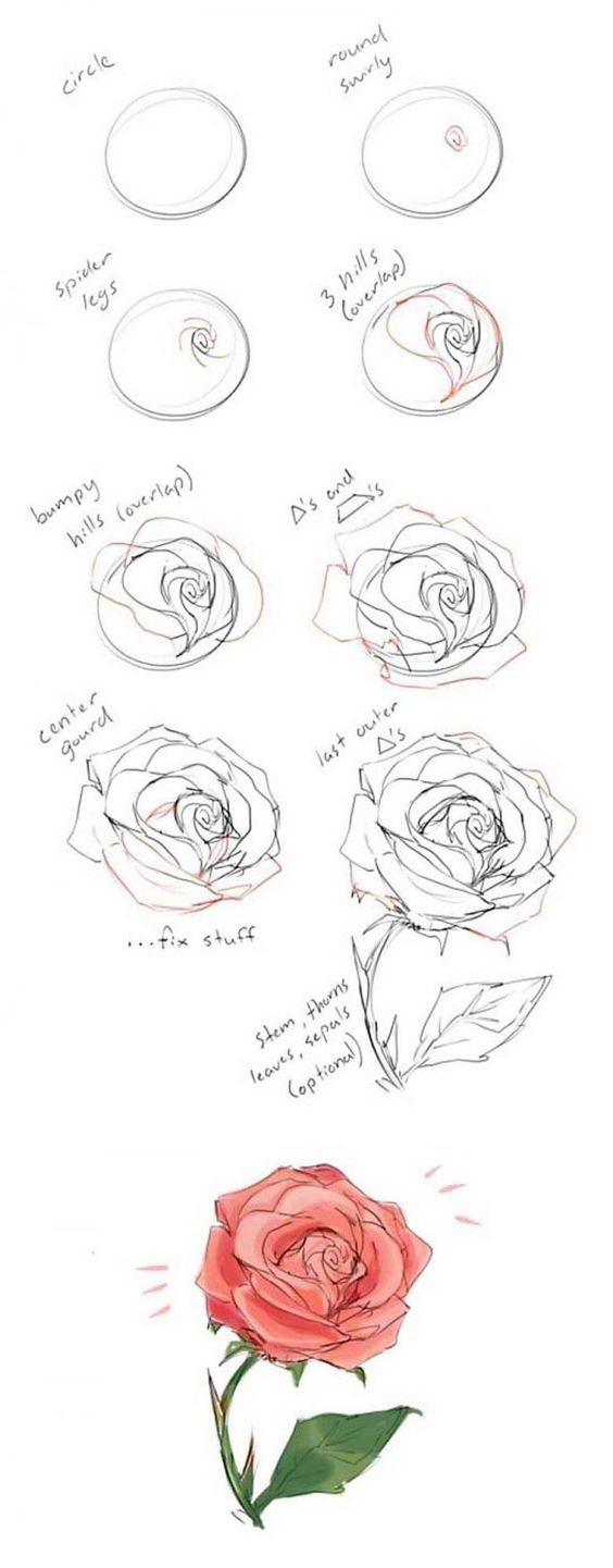 Comment Dessiner Une Rose ? 37 Idées &amp; Tutos Étapes Par Étapes à Comment Dessiner Une Rose Etape Par Etape