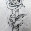 Comment Dessiner Une Rose ? 37 Idées &amp; Tutos Étapes Par Étapes dedans Comment Dessiner Une Rose Etape Par Etape