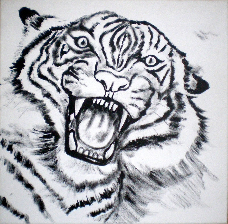Comment Peindre Une Tête De Tigre - Domi Dessins Et Peintures encequiconcerne Image Tete De Tigre
