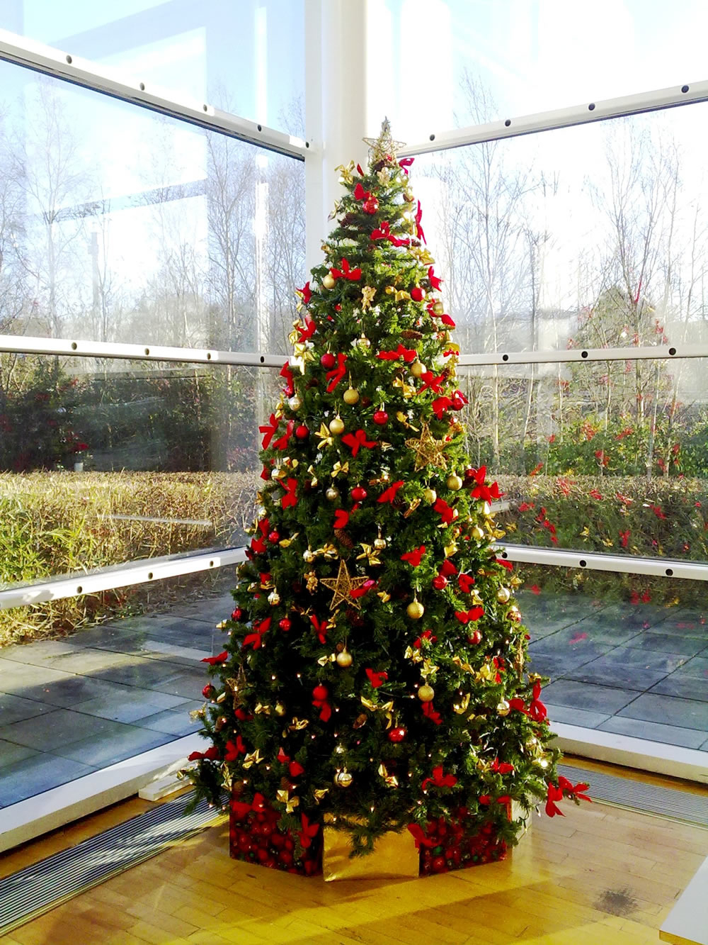 Corporate Christmas Trees | Florist Limerick serapportantà Noel Noel Noel