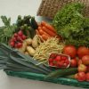 Création D'Un Point De Livraison De Paniers De Légumes Bio intérieur Photos De Légumes