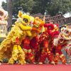 Danse Du Lion - L'Animation Nouvel An Chinois Qui Porte pour Spectacle Danse Chinoise