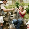 Descubre Los Animales En Los Pirineos En El Parc Animalier avec Parc Animalier Argeles Gazost Tarif
