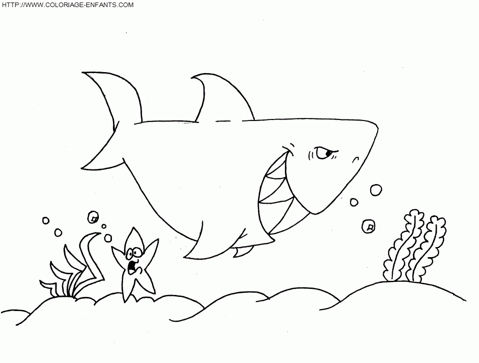 Dessin À Colorier Requin Baleine A Imprimer dedans Coloriage Requin Blanc Imprimer